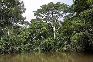 《极限俱乐部：Stradale》公布 登陆苹果Arcade